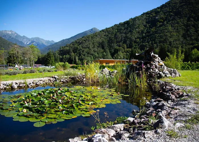 Bosc Del Meneghi
