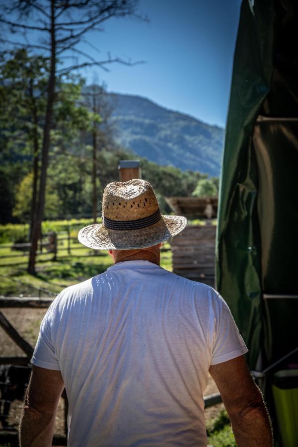 Farm stay Bosc Del Meneghi *