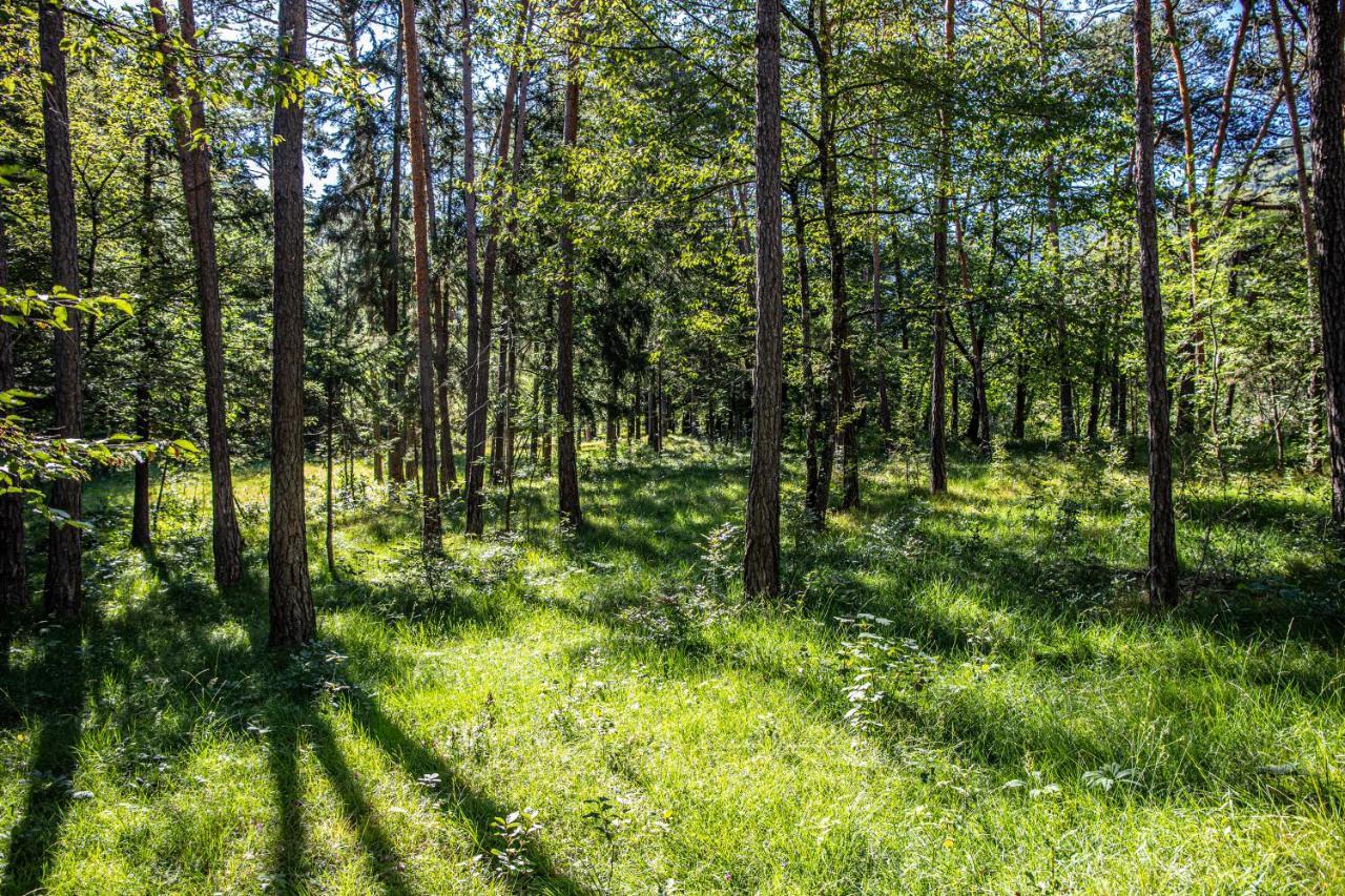 Alloggio per agriturismo Bosc Del Meneghì *
