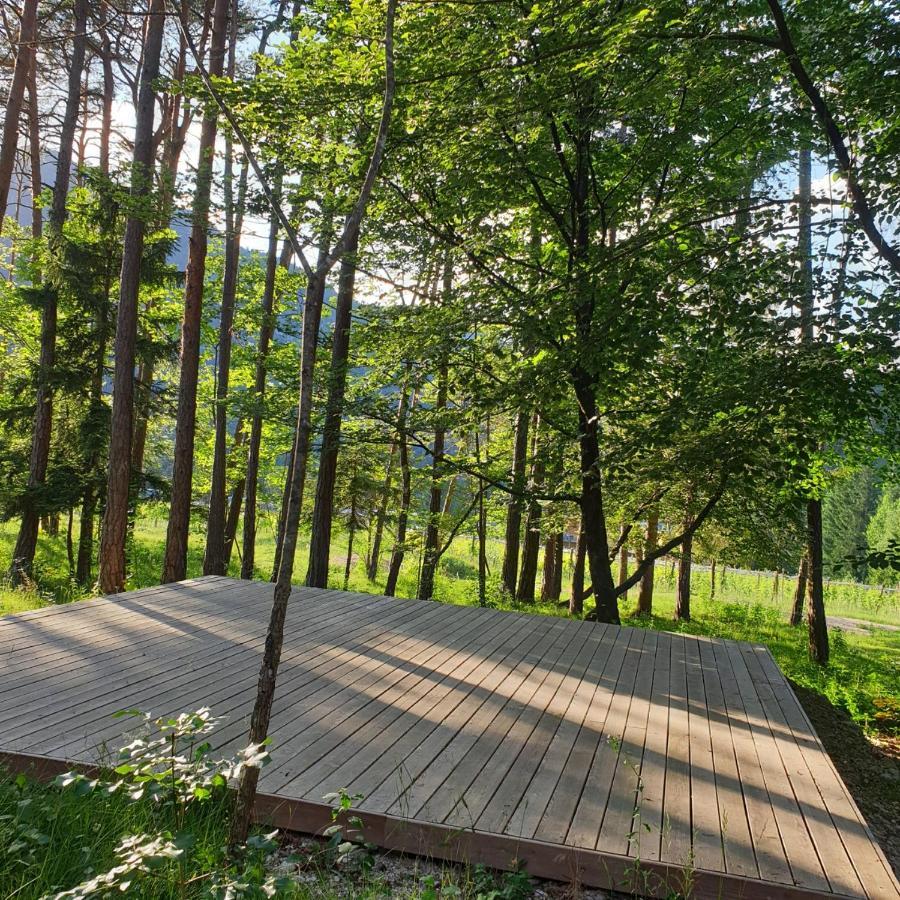 Bosc Del Meneghi Farm stay