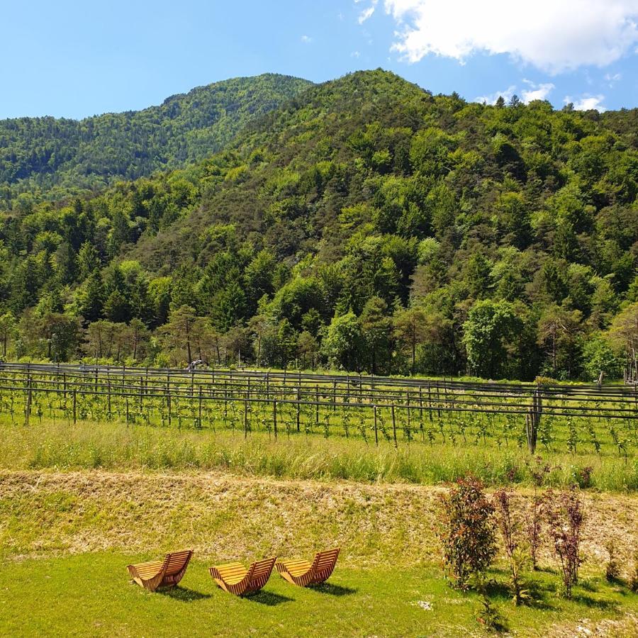 Bosc Del Meneghi Farm stay